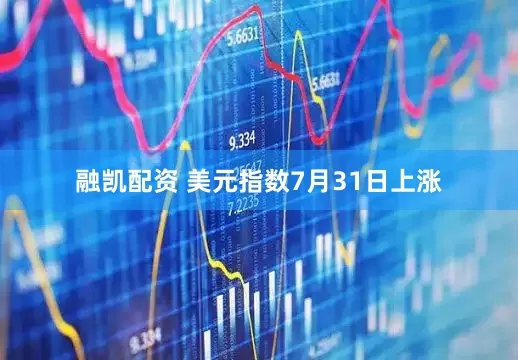 融凯配资 美元指数7月31日上涨