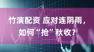 竹演配资 应对连阴雨，如何“抢”秋收？
