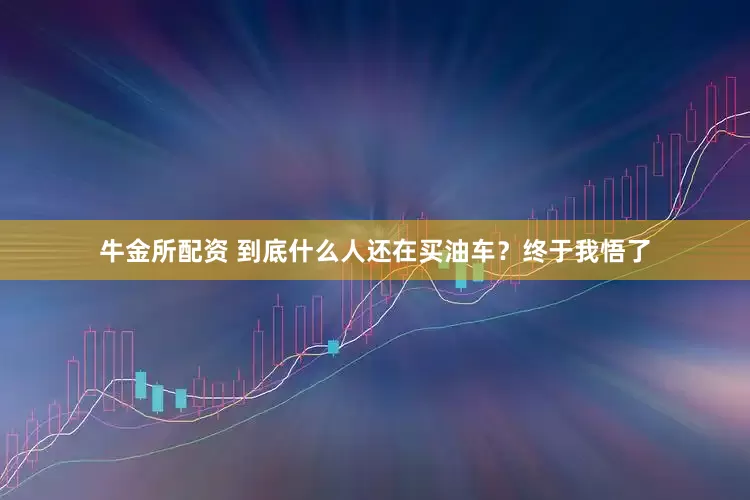 牛金所配资 到底什么人还在买油车？终于我悟了