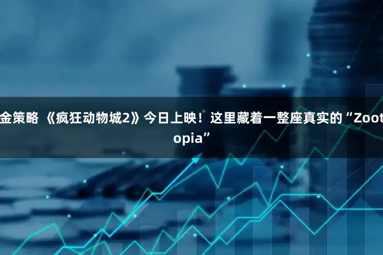 金策略 《疯狂动物城2》今日上映！这里藏着一整座真实的“Zootopia”